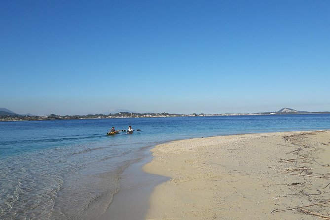 Cruise to Turtles Island and Caves With a Glass Bottom Boat - Customer Experiences and Recommendations