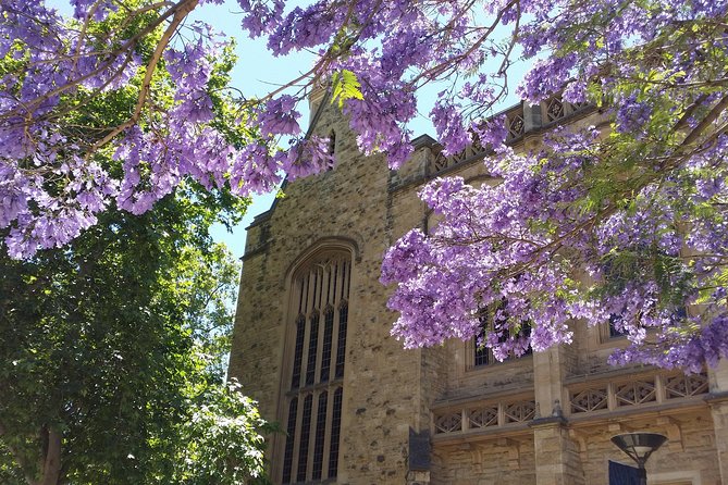 Cultural Caper Adelaide Walking Tour - Last Words