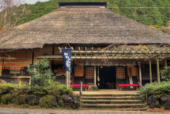 Custom Private Tour in Hakone With Optional Hot Springs Experience - Overall Experience