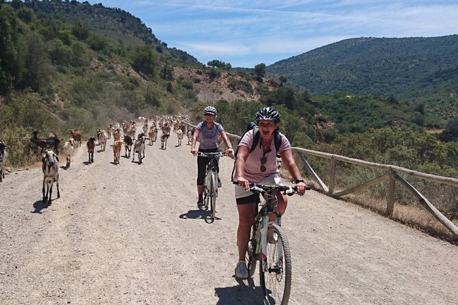 Cycling - via Verde De La Sierra - 36km - Easy Level - Booking Information