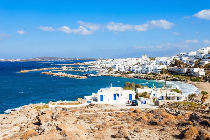 Daily Cruise From Paros to Delos Mykonos - Highlights of the Cruise