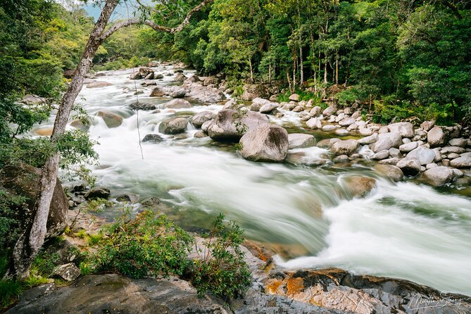 Daintree Ancient Giants Easy Rainforest Hike, Beach, Swim & Lunch - Common questions