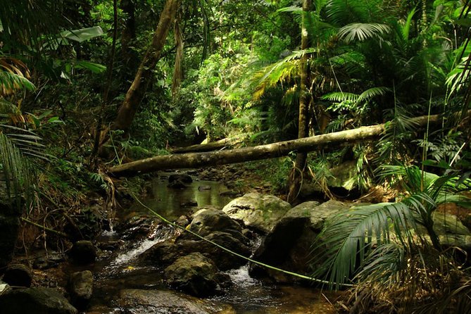 Daintree Discovery Centre Single Pass - Additional Information