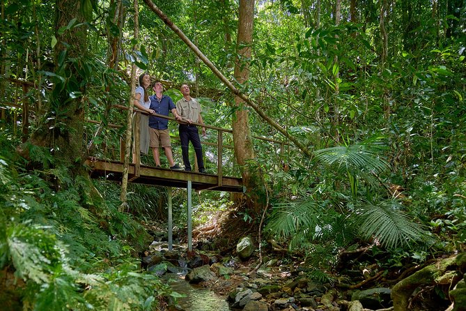 Daintree Rainforest and Cape Tribulation Day Tour From Cairns - Cancellation Policy