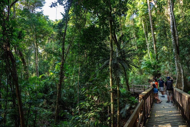 Daintree Rainforest and Mossman Gorge - Full or Half Day Tour - Common questions