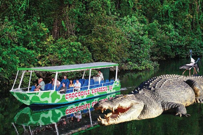 Daintree River Cruise - Common questions