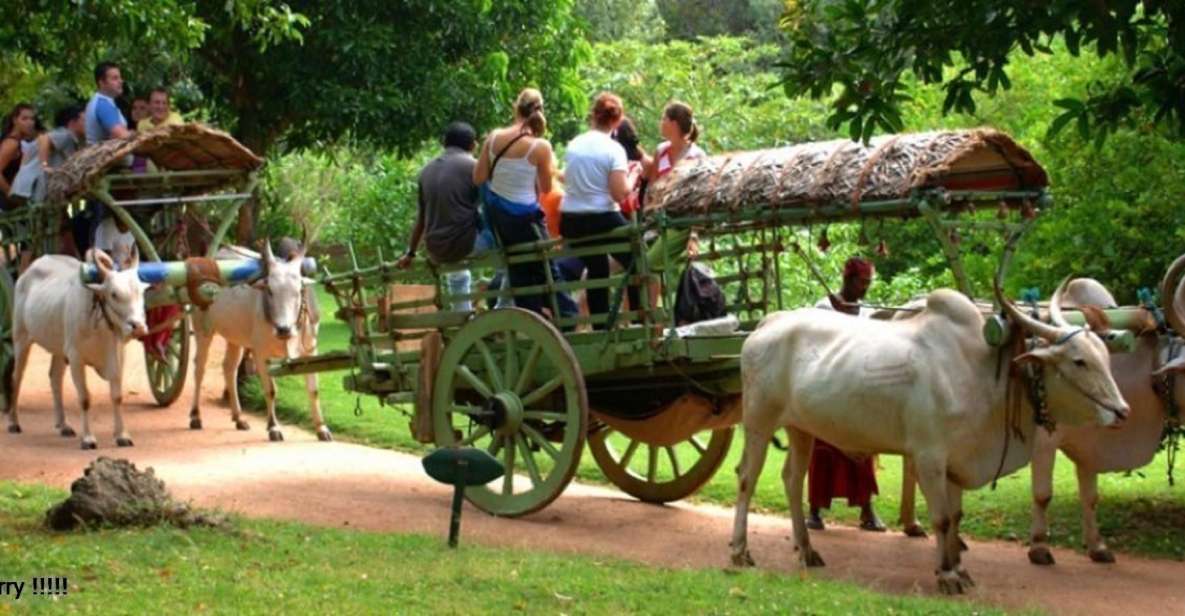 Dambulla: Caves Temple & Traditional Village Tour With Lunch - Common questions