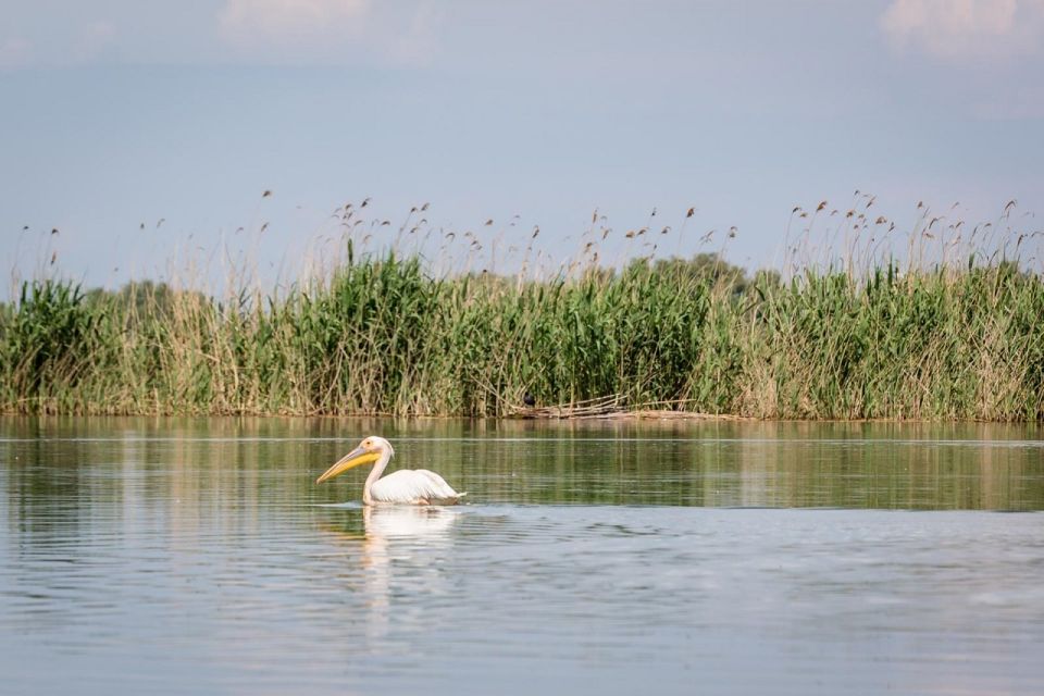 Danube Delta - 2-Day Tour From Bucharest - Customer Experience