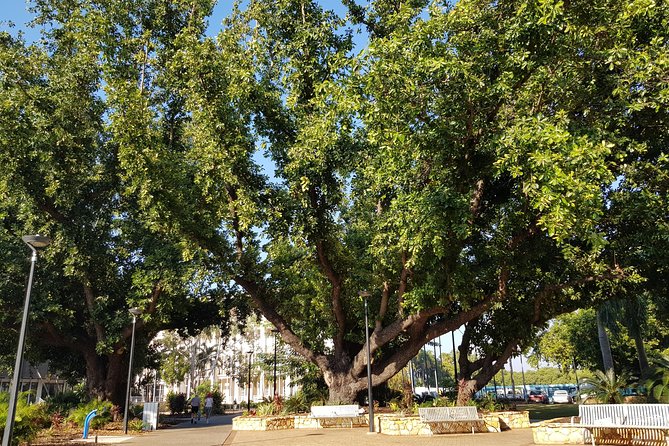 Darwin Heritage Walk - Logistics and Meeting Information