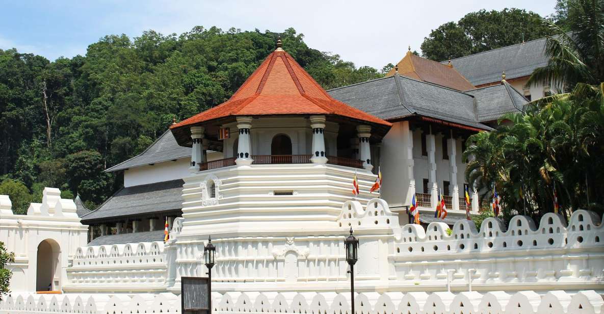 Day Tour of Kandy by Tuktuk With Free Lunch and Entry - Cultural Experience