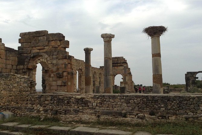 Day Trip From Fez to Meknes and Volubilis - Last Words