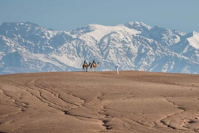 Day Trip to Agafay Desert and Atlas Mountains With a Guide - Customer Satisfaction