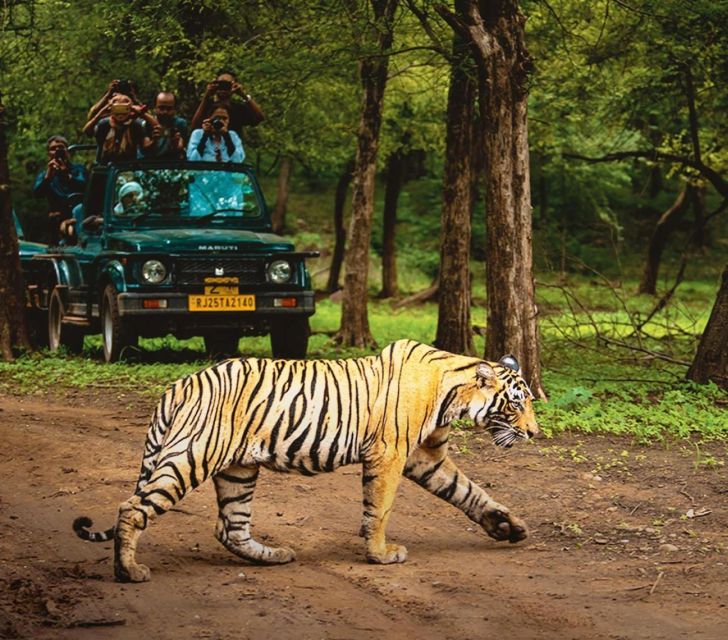 Delhi: 8-Day Golden Triangle With Udaipur & Ranthambore Tour - Common questions