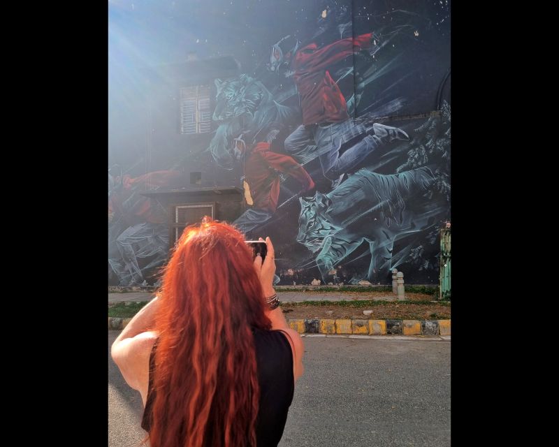 Delhi Street Art Tour: Explore the Murals & Visit a Stepwell - Instagram-Worthy Photo Stops