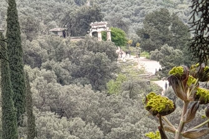 Delphi - Exploring Greece's Ancient Past - Viator and Tripadvisor Reviews: Traveler Experiences