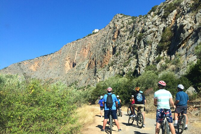 DELPHI Private Day Tour PLUS Hiking, BIking or Olive Tasting - Customer Ratings and Reviews