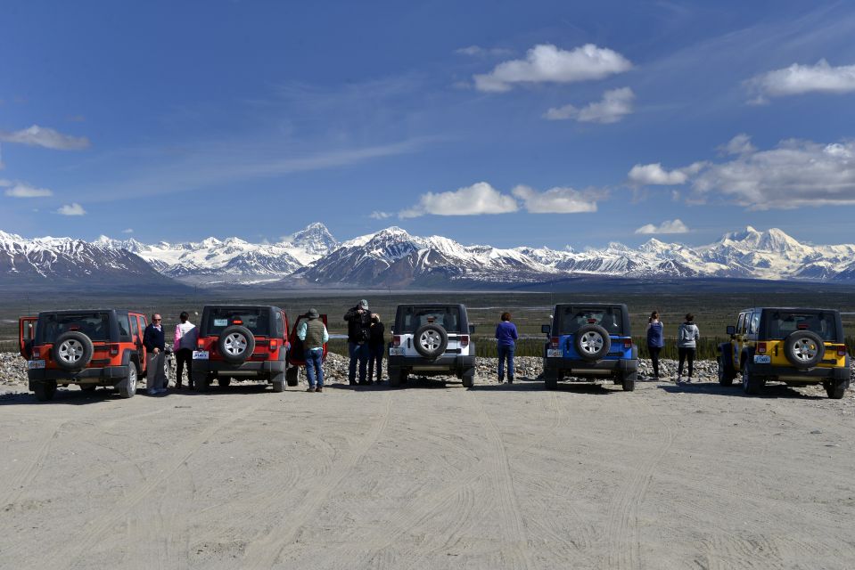 Denali: Highway Jeep Excursion - Scenic Views and Wildlife Spotting