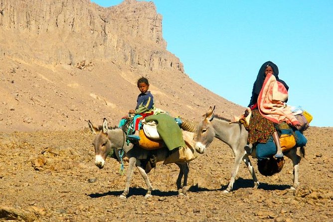 Desert Agafay & Atlas Mountains, Valleys & Waterfalls Tour From Marrakech - Common questions