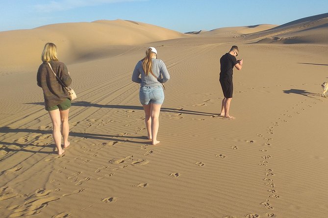 Desert and Wild Beach Day Trip With Meal - Booking Information