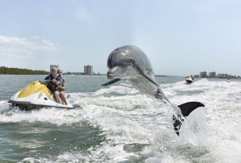 Destin: Crab Island Dolphin Watching Jet Ski Tour - Last Words
