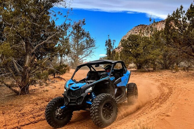 Dianas Throne UTV Adventure Near Zion National Park - Additional Information