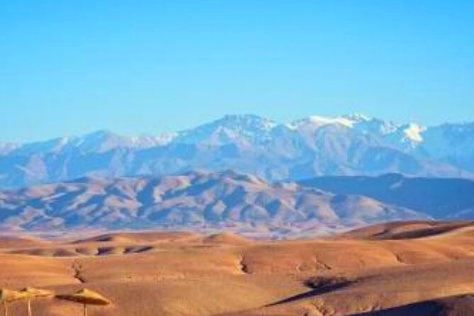 Dinner and Sunset Camel Ride at Desert Marrakech Agafay - Tour Guide Appreciation