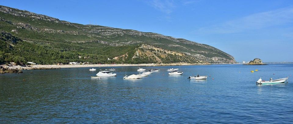 Discover Arrábida: Wine and Scenic Wonders - Last Words