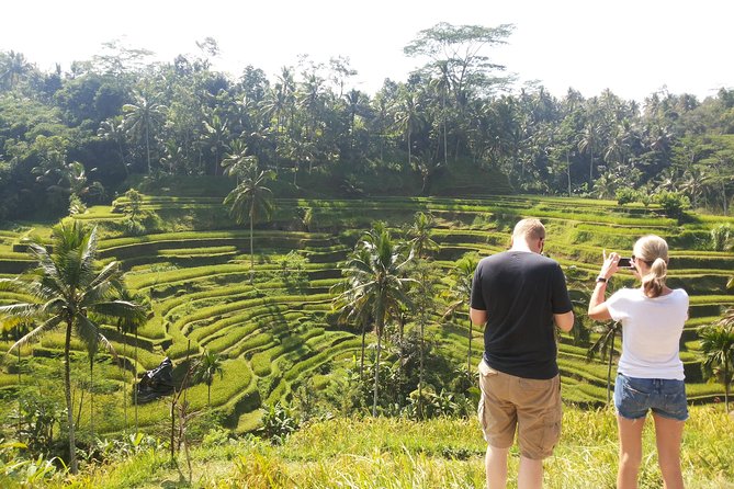 Discover Best Of Bali in 2 Day Private Tour Package-All Included - Optional Activities