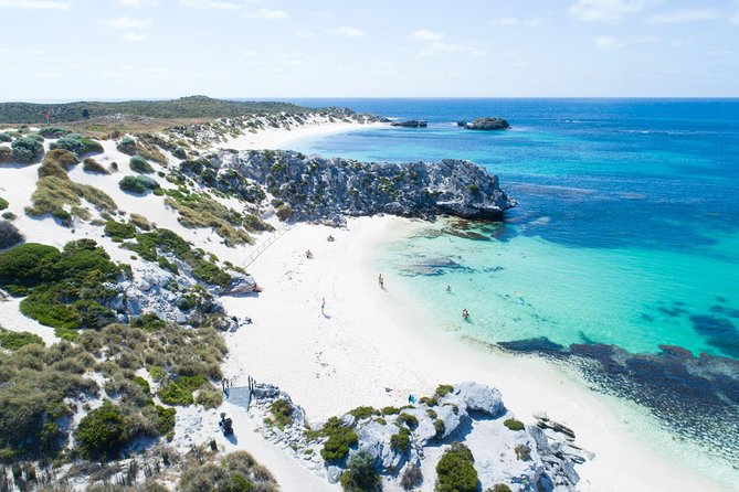 Discover Rottnest With Ferry & Bus Tour - Common questions