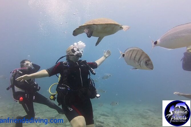 Discover Scuba Diving, Free Pictures Included - Meeting and Pickup