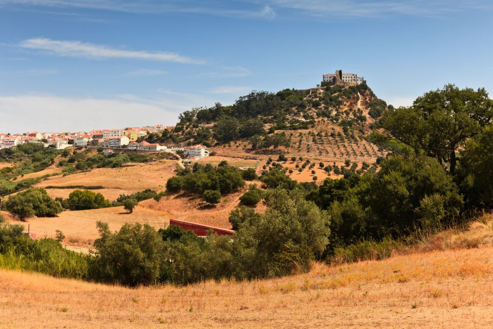 Discover the Magic of Arrábida and Local Wines Day Trip. - Common questions