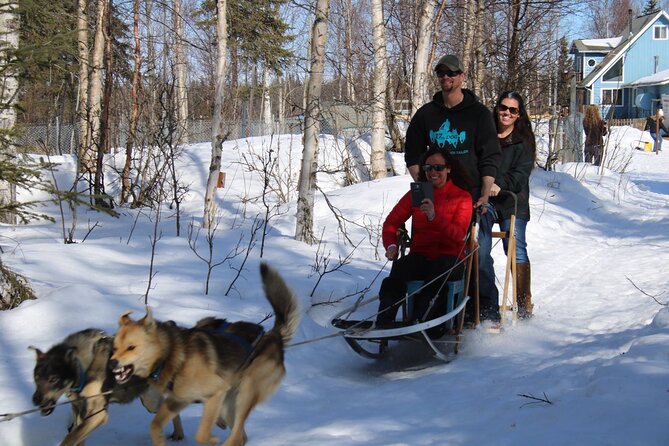 Dog Sledding Adventure in Willow, Alaska - Cancellation Policy