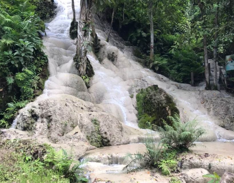 Doi Suthep Temple & Sticky Waterfall Tour - Overall Experience and Recommendations