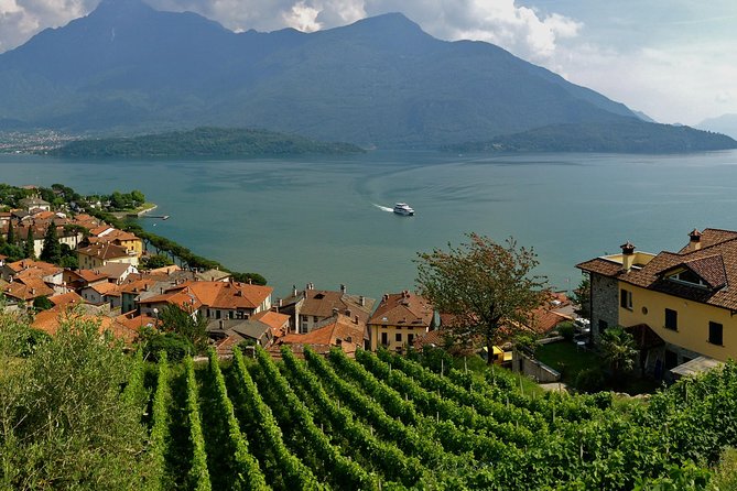 Domaso: Wine Tasting at the Winery on Lake Como - Visitor Reviews and Recommendations