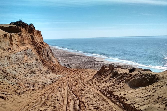 Donana National Park and El Rocío: 4x4 Guided Tour From Seville - Traveler Feedback and Recommendations