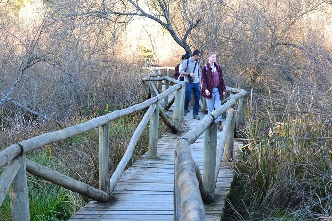 Donana National Park: Guided Day Tour From Seville - Customer Reviews