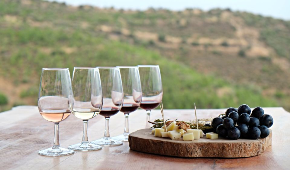 Douro Valley Private Tour With 2 Wine Tastings - Comprehensive English-Guided Winery Tours