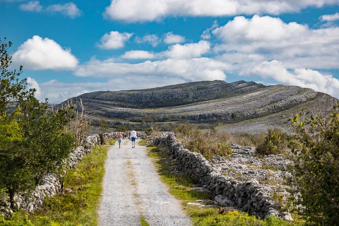 Dublin to Cliffs of Moher and Galway City Private Tour by Car - Customer Support Information