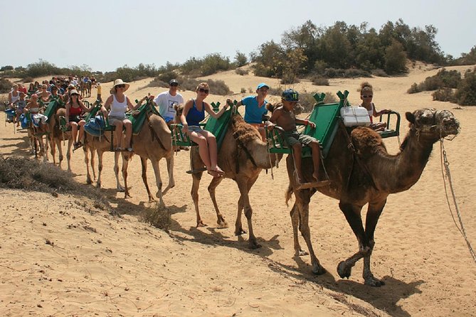 E-Scooter Tour 2 Seat Camel Ride : Maspalomas Dunes & Meloneras - Tour Highlights