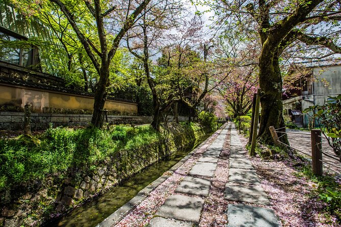 Early Bird E-Biking Through East Kyoto - Viator Resources