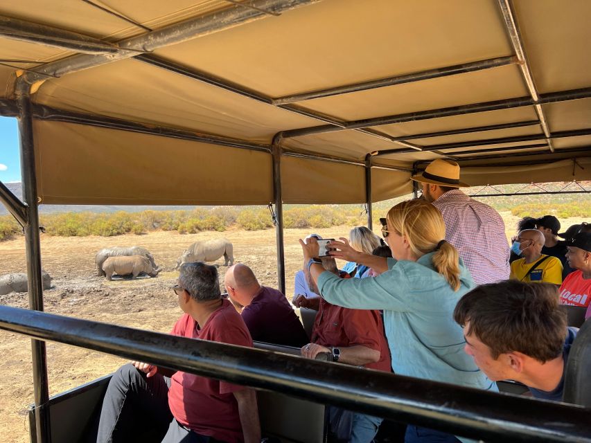 Early Morning Safari Big Five Experience Near Cape Town, SA - Participant Guidelines and Booking Details