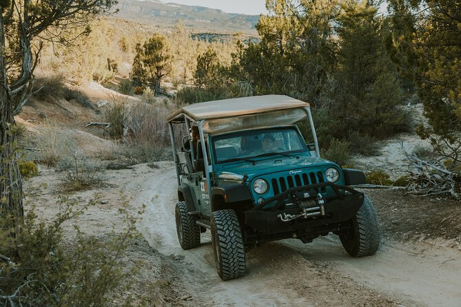 East Zion Top of the World Jeep Tour - Pricing and Booking Info