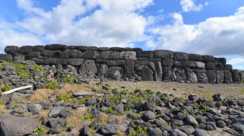 Easter Island: Private South & East Highlights Tour - Moai Statues Encounter