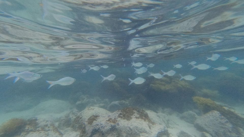 Easter Island: Snorqueling Tour on Coral Reefs - Location Details