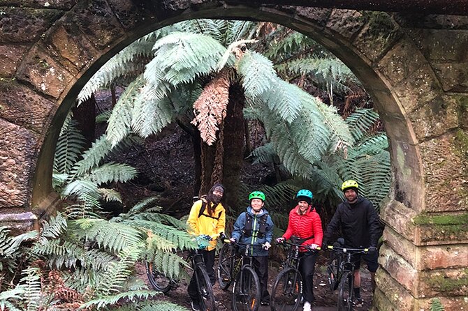 Easy Bike Tour - Mt Wellington Summit Descent & Rainforest Ride - Reviews and Booking Information