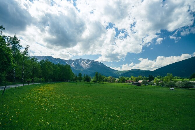 Easy Hiking Alpine Panorama Paradise Private Tour From Vienna - Common questions