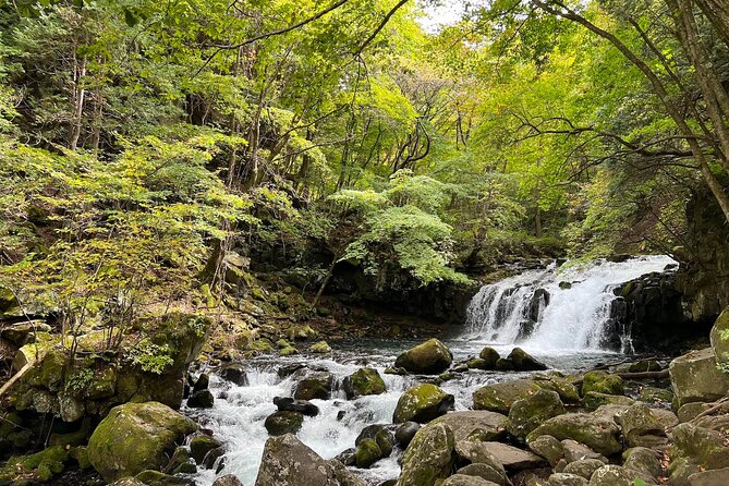 Ebike Tour in Lake Shirakaba and Tateshina Highland Japan - Weather Precautions and Recommendations