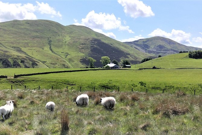 Edinburgh: Guided Walk in the Pentland Hills (Mar ) - Reviews and Recommendations