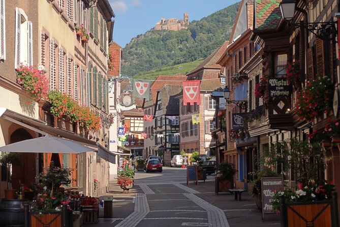 Eguisheim, Kayserberg, Ribeauville, and Riquewihr Private Tour  - Colmar - Tour Experience Insights