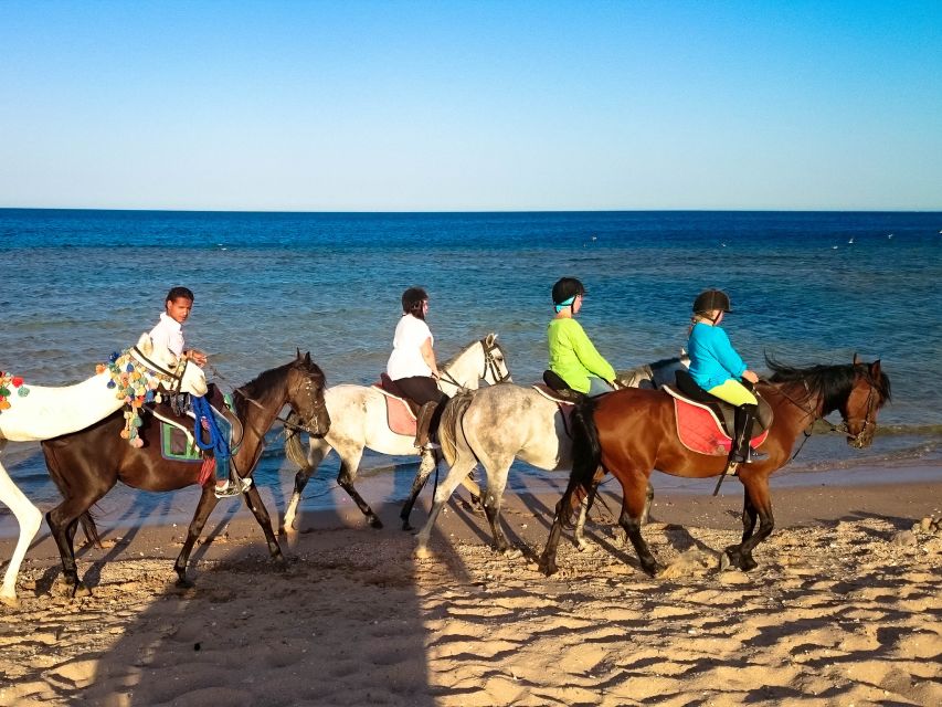 El Gouna: Desert & Sea Horse Riding With Swimming Optional - Additional Information